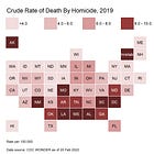The Geography of Homicide -- States, Base Rates, Increases, and Correlations 