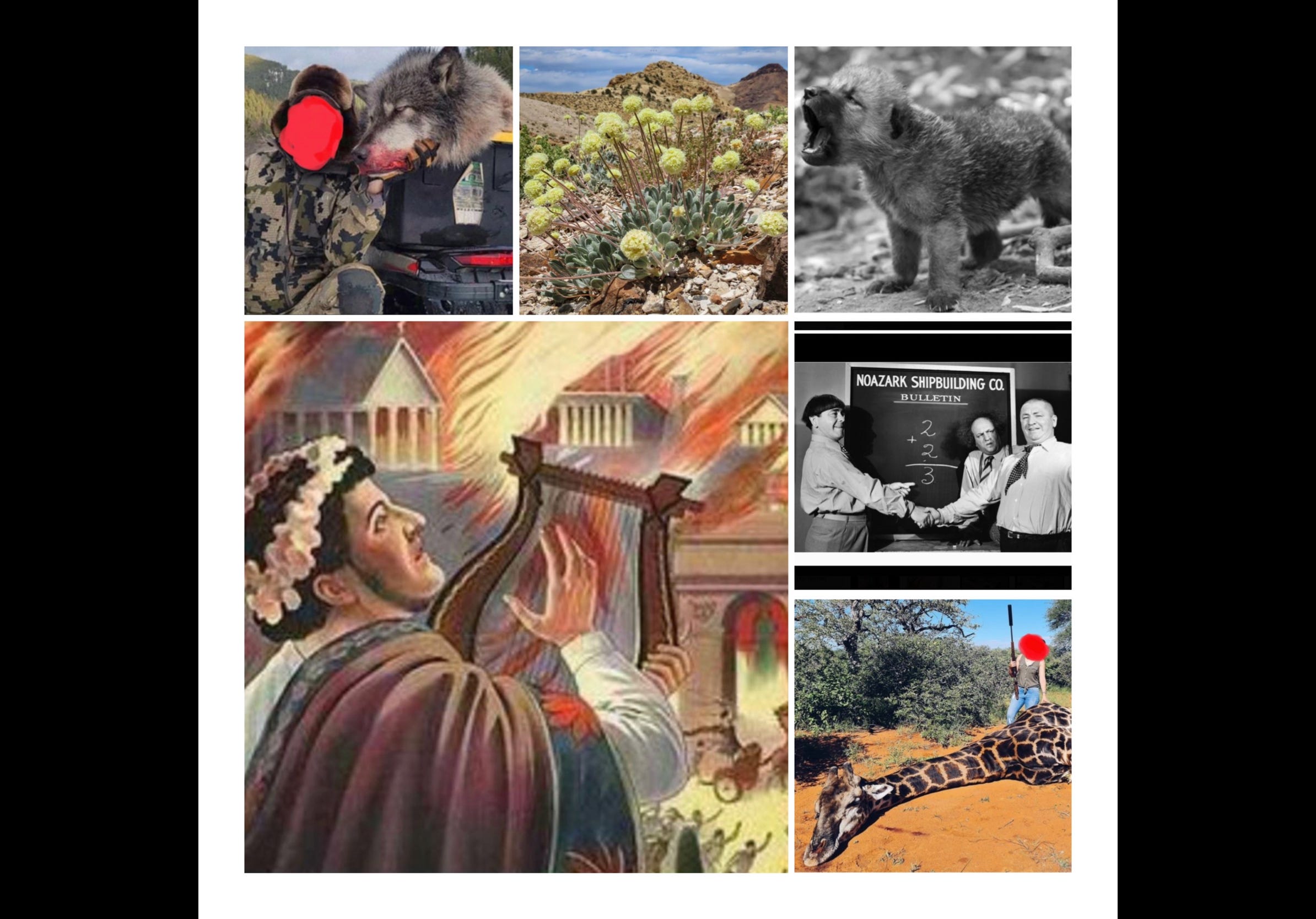 Irreverent Observations on the Endangered Species Act 