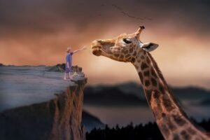 Child giraffe. Pixabay.