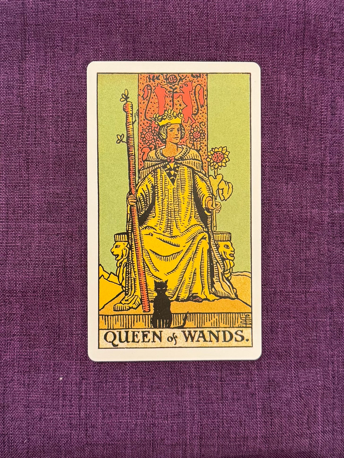 The Queen of Wand shows a queen sitting proudly on a throne while facing forwards. She is holding a sunflower in her left hand, and the image of the sunflowers are also carved on the throne. In her right hand, she is holding her wand and a black cat sits at her feet.