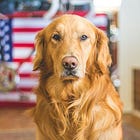 "Can we just *not* talk about politics?"