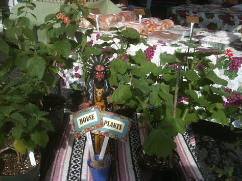Scenes from a farmer's market