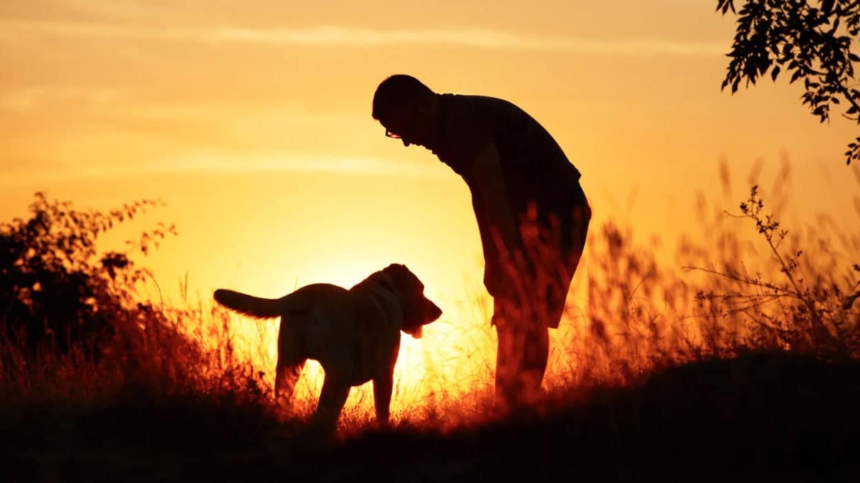 One man, his dog, and the doctor we all deserve