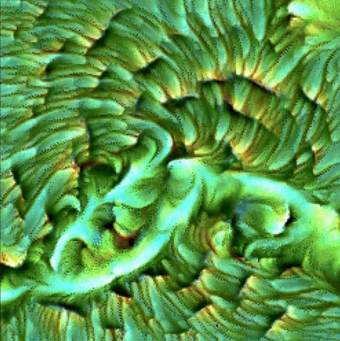 My Generative Art Shopping List for fxhash 2.0