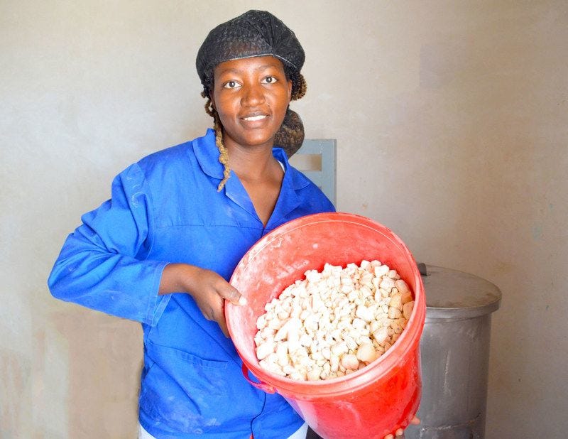 Kudzai Rosemary Makaza holding a bucket full of baobab. 