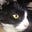 Heather T.'s avatar