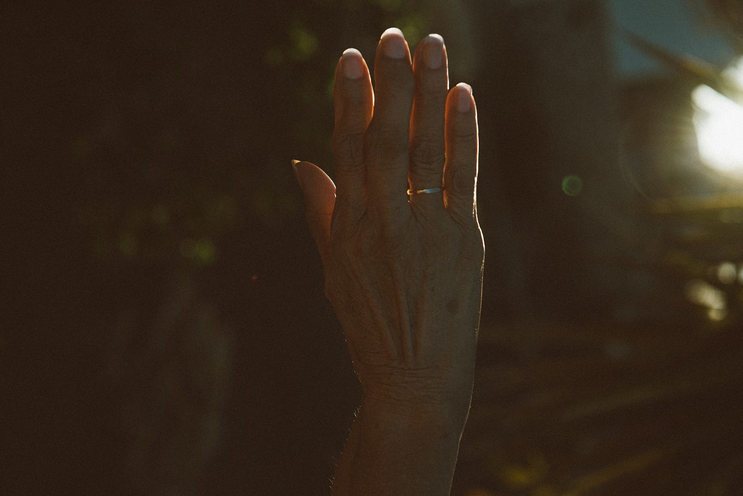 A person's hand raised against the dark, lit by warm low sunlight.
