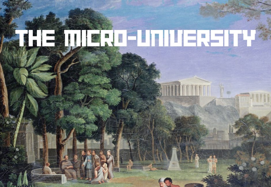 The Micro-University