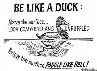 Be like a Duck: above the surface... look composed and unruffled. Below the  surface paddle like hell!