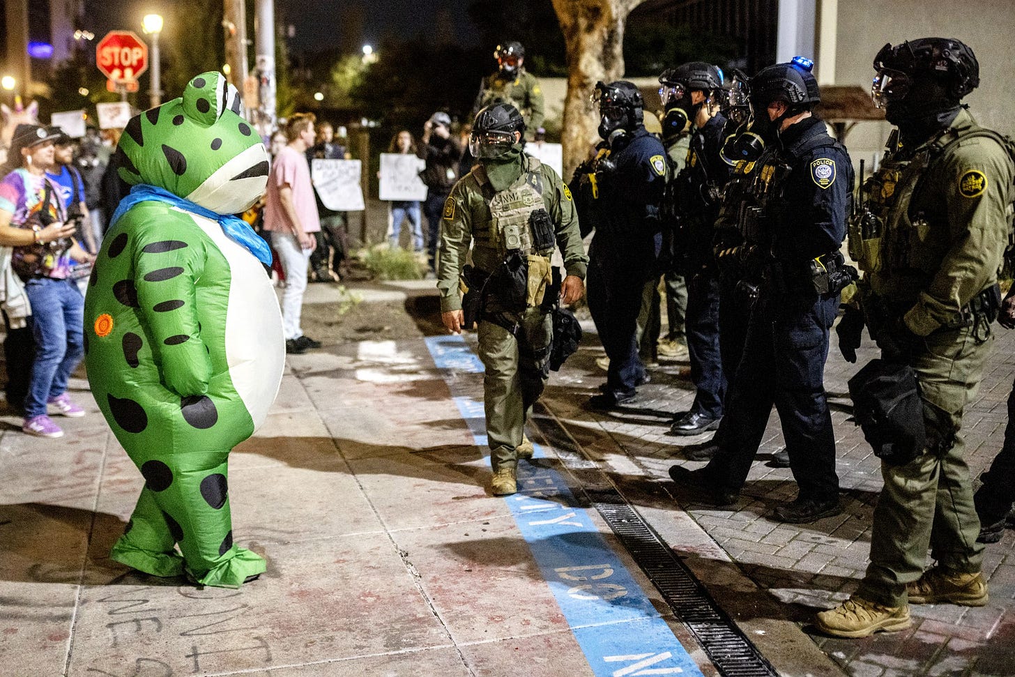 A protester in a frog costume stands in front of a line of federal law enforcement officers outside a United States...