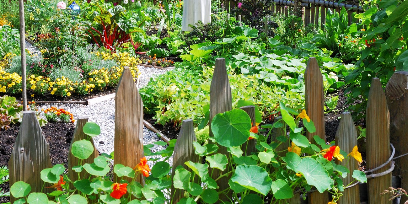 Homeopathy & plant life