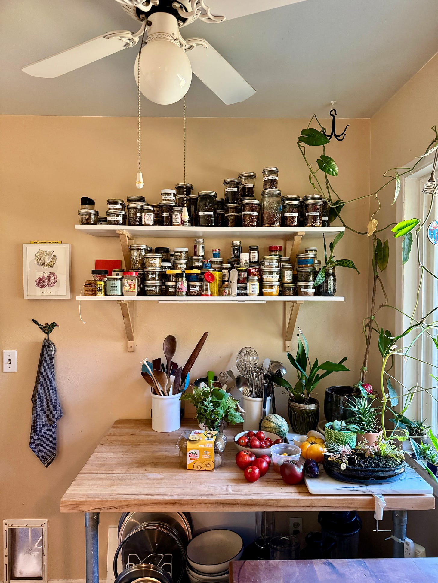 A kitchen wall showing two long shelves stacked high with mason jars of herbs and spices. Below the shelves sits a wood-topped work table with utensil crocks and summer produce on top.