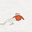Lotte's avatar