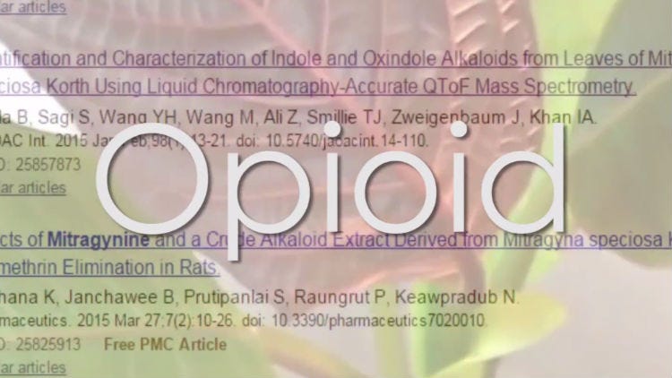 Kratom withdrawal