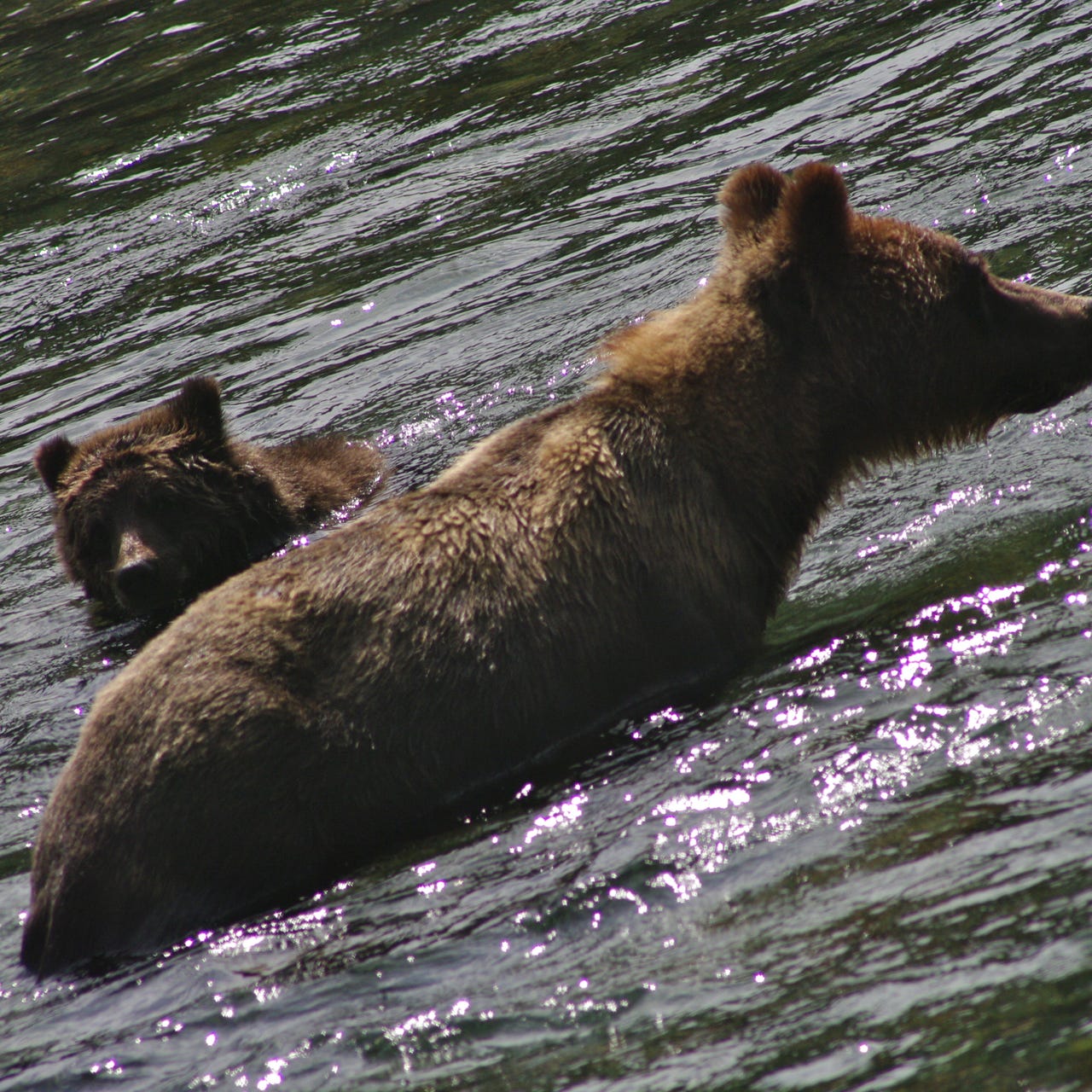 Doing Being with Robin Hadley