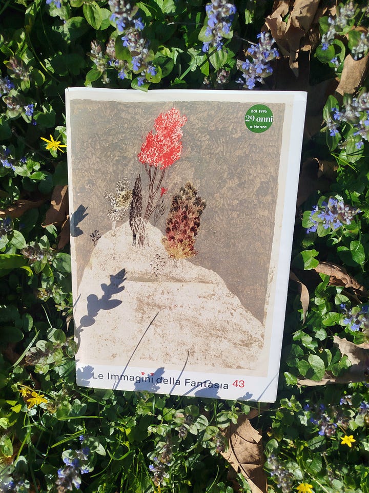 Catalogo della Mostra  Le Immagini delle Fantasia 43- Tutte le fotografie sono state realizzate da Jessica Paolillo