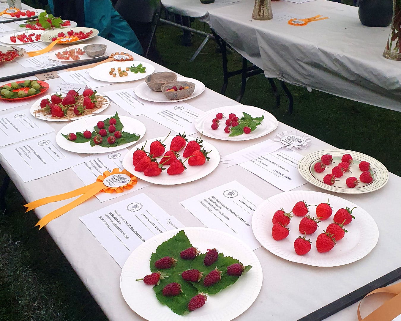 The entries in the berry category at the Lambeth Country Show