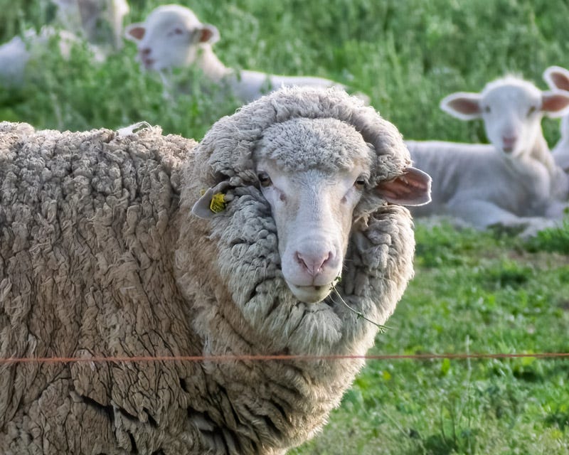 20260126-SCF-477-Edit 2.jpg 20260126-SCF-477-Edit 2.jpg