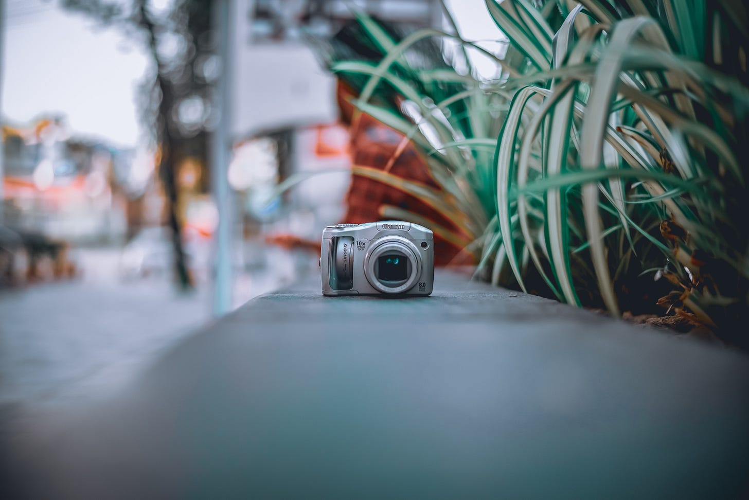 A photo of a point and shoot camera on Rosa de Saron C. Newsletter
