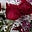 Rose Marie's avatar
