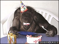 cheetasbirthday cheetasbirthday