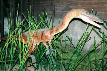 Coelophysis, Triassic Arizona, meat eating dinosaur