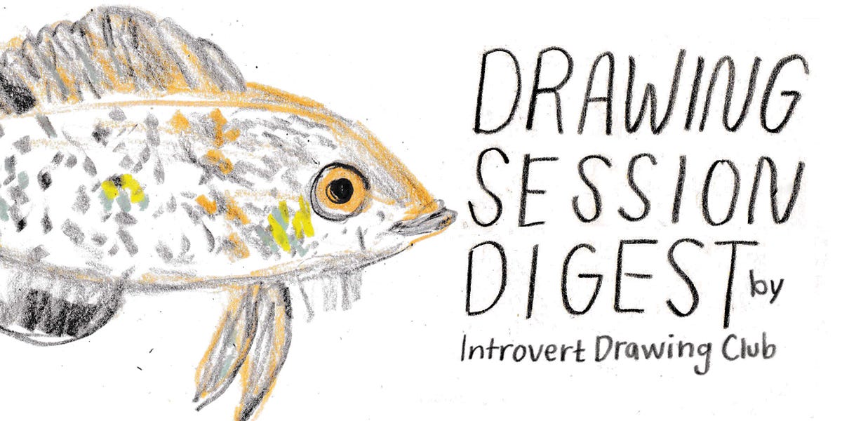fish illustration by Beth Spencer 