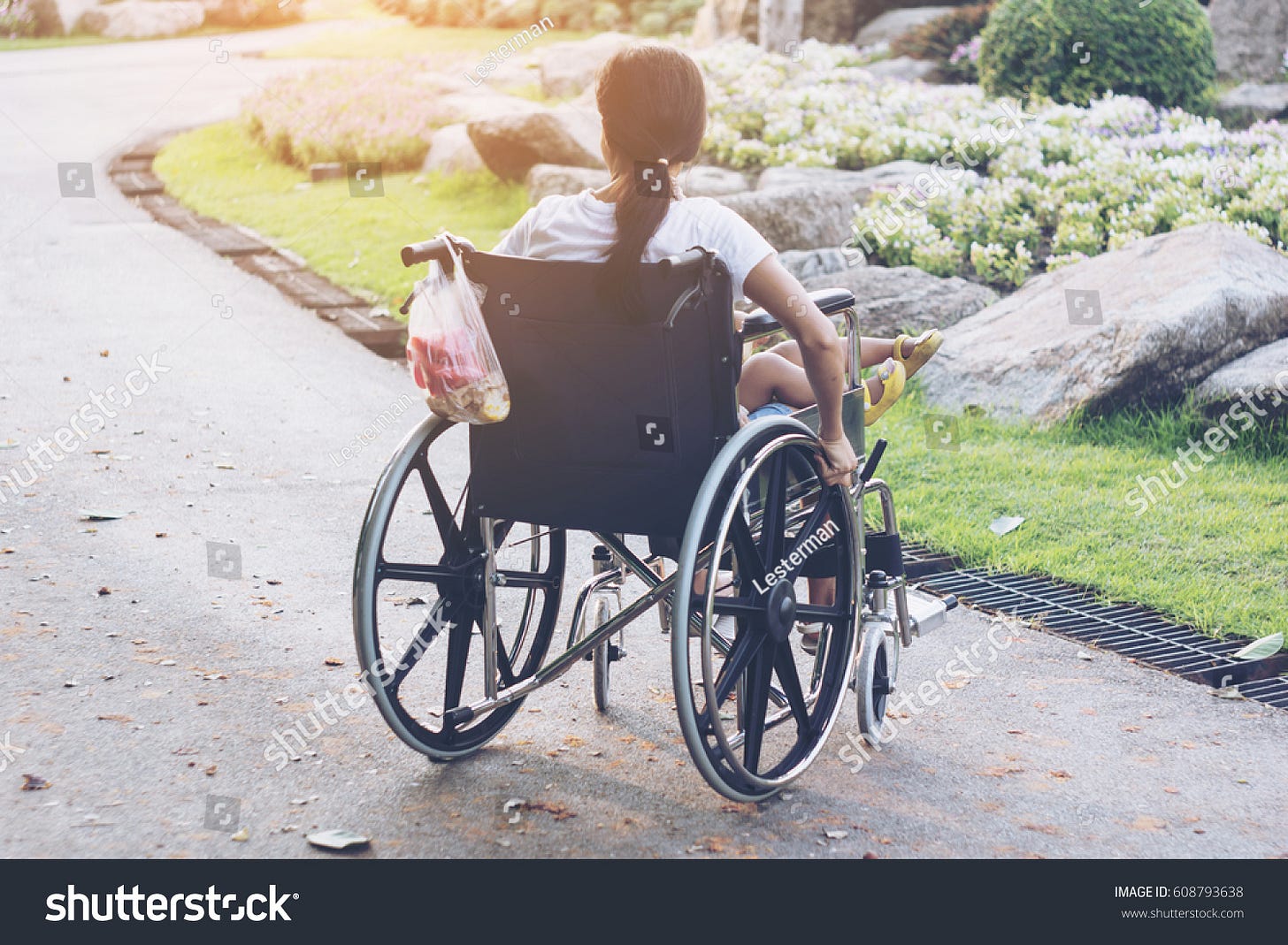 Back View Young Woman Wheelchair During Stock Photo 608793638 | Shutterstock