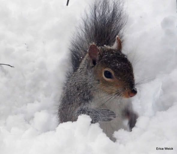 No photo description available. No photo description available.