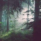 Language and Identity