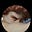 Erosinexile's avatar