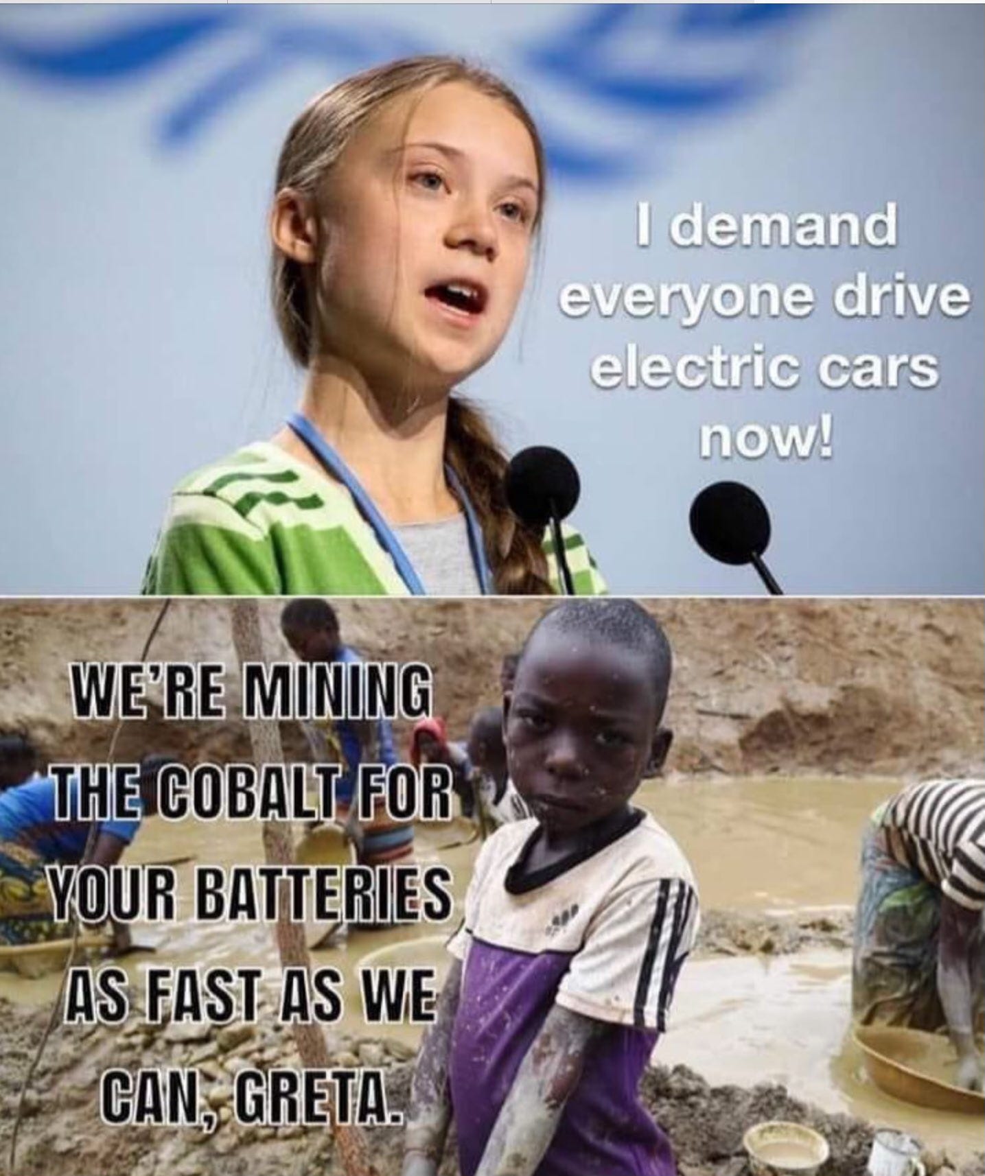 Won't somebody think of the children! - EV Musings Substack, image size:1435x1714