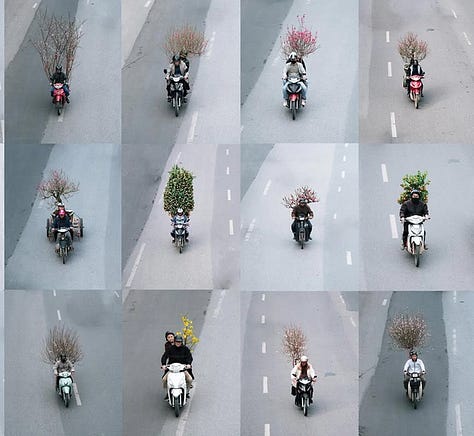 Photos to illustrate the stories below