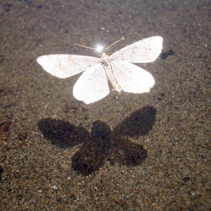 Emery Allen's Substack