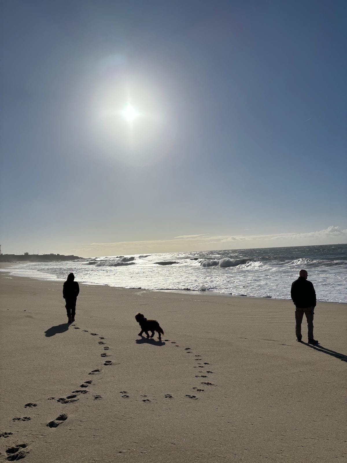 Back views of man, woman and dog on a sandy sunny beach by the sea in winter