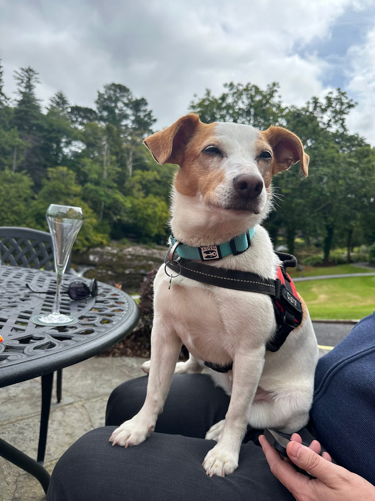 Clara on the terrace at Sheen Falls Lodge