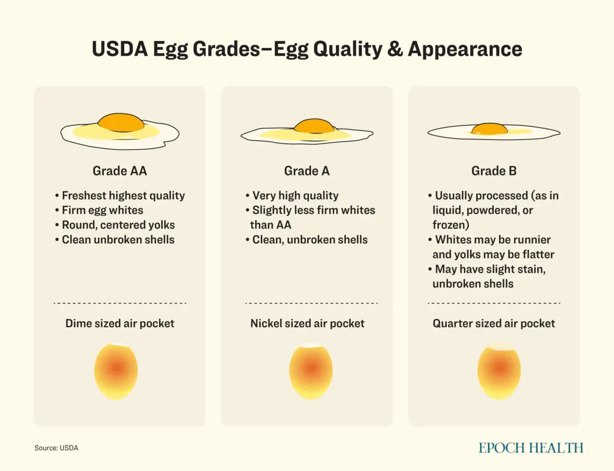ZoomInImage ZoomInImage