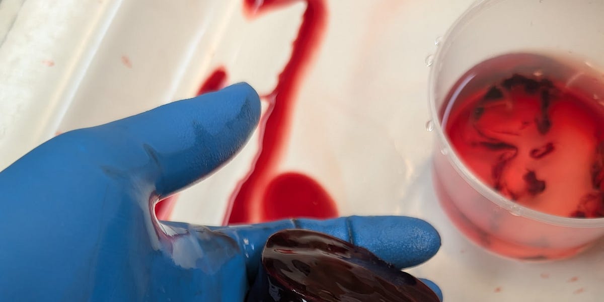 The Nuremberg Effect: Rejecting Blind Obedience in the Modern World