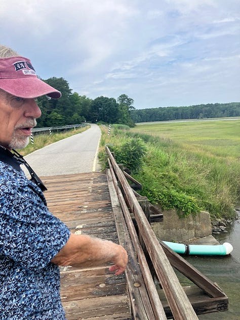 pictures of silted Queens Lake