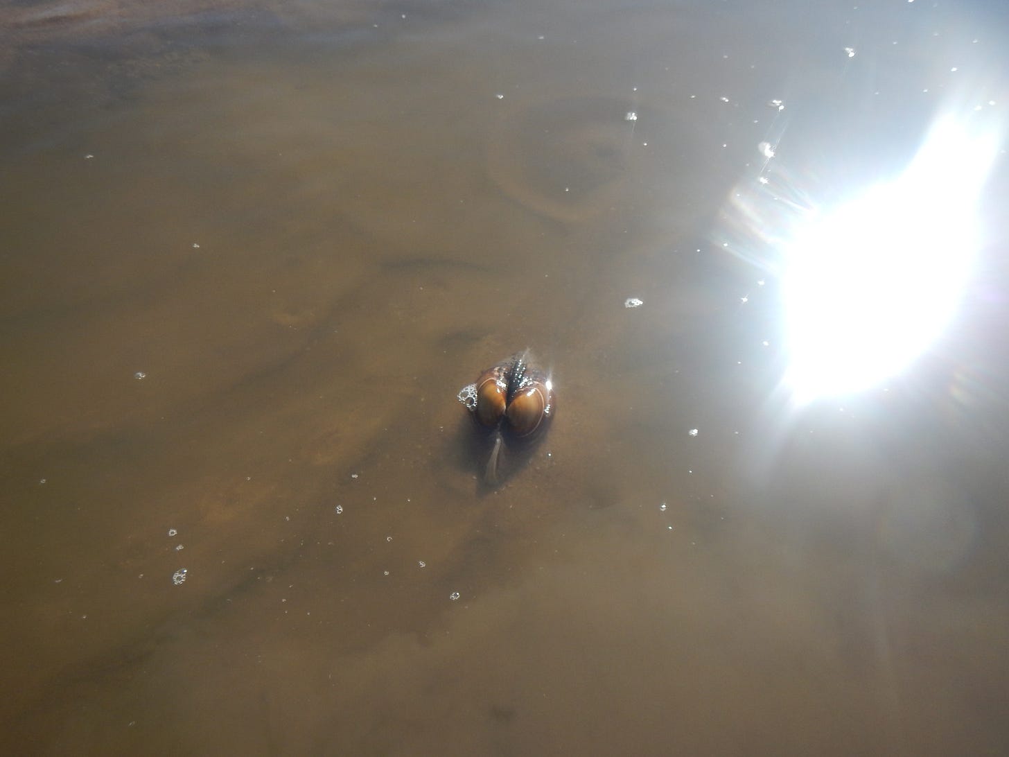 Not the kind of muscles I thought we'd be gaining, but I'll take it