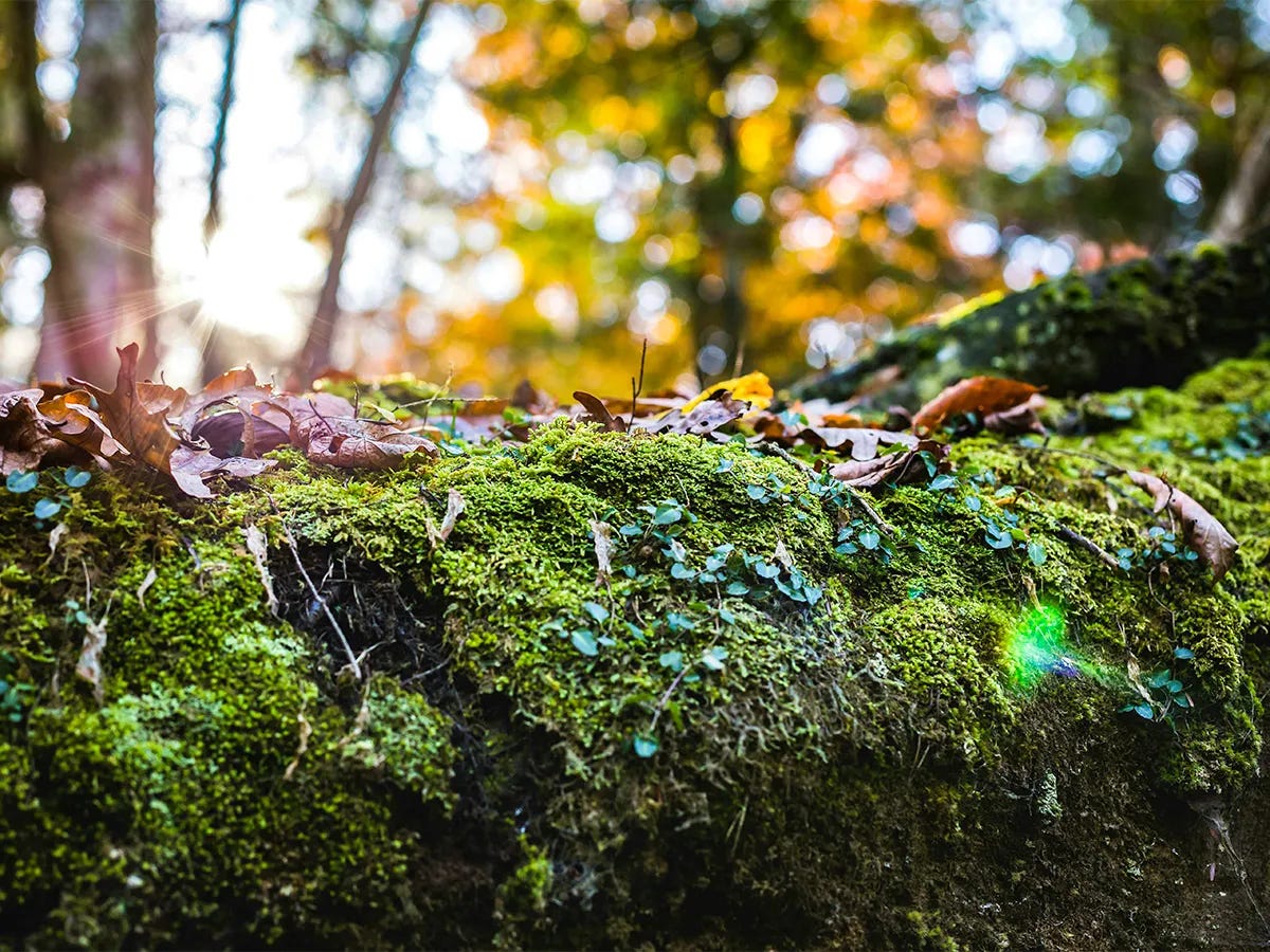 Outdoors in September