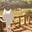 Rainy Season's avatar