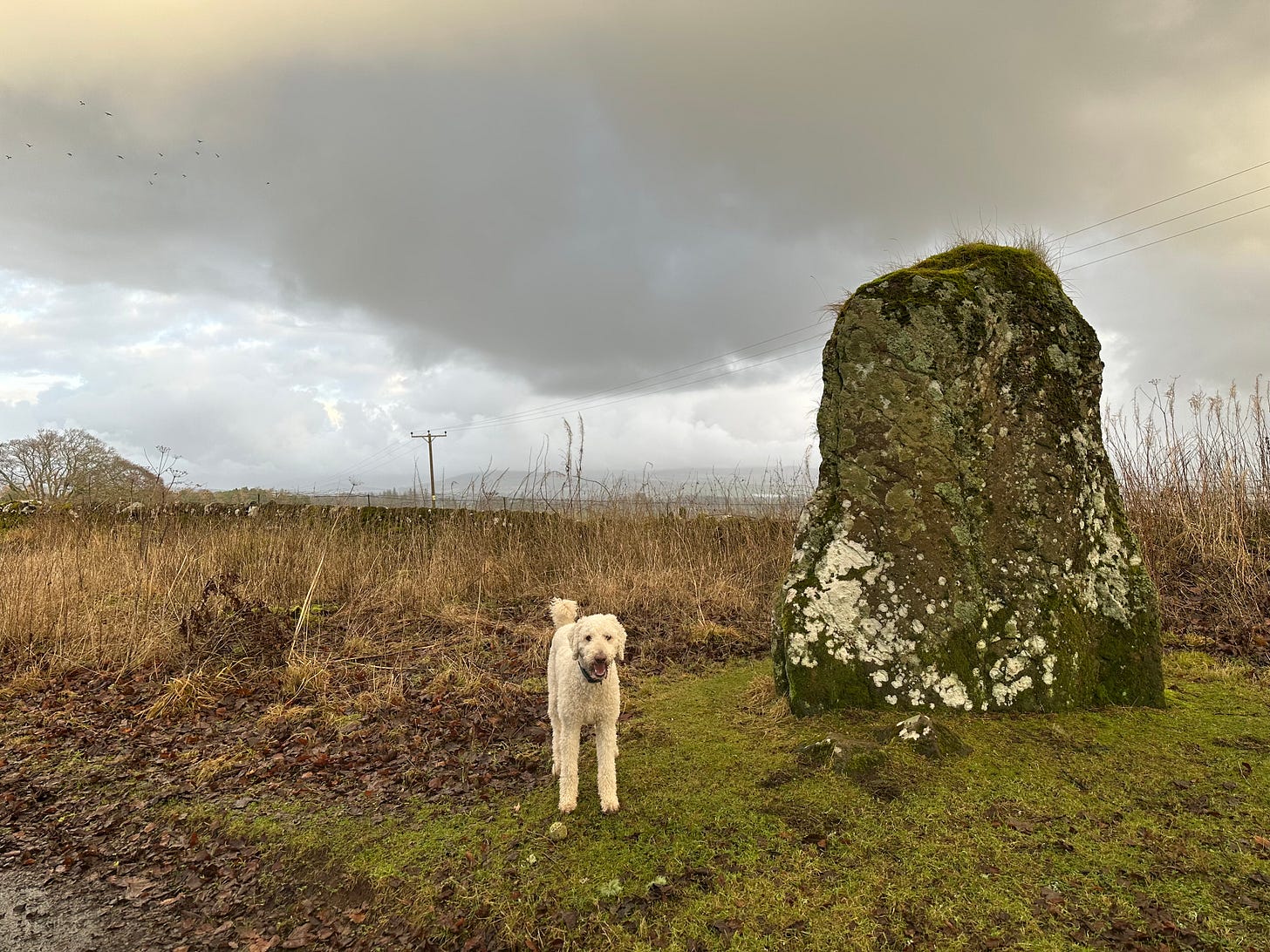 A photo of a white dog standing on a grassy area next to an upright stone. The colours are very muted and the sky looks stormy.