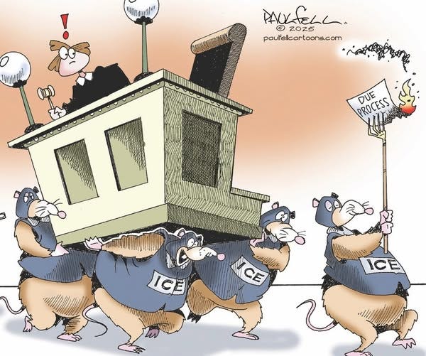 On the left side of the image, three large anthropomorphic rats, wearing masks and ICE jackets have lifted up a judge's bench, with the judge still sitting at her bench. The judge, gavel in hand, is looking down and toward the right side of the image with surprise at the lead rat. The lead rat, dressed like the others, is holding a pitchfork high in the air, and at the end of his pitchfork, on fire, is a piece of paper that reads, "Due Process."