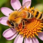 🐝THE YEAR THE BEES DECIDED TO CHECK OUT