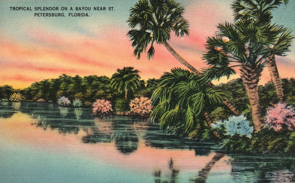 Vintage Bayou Flowers Postcard - St. Petersburg, Florida –  ColbearCollectibles