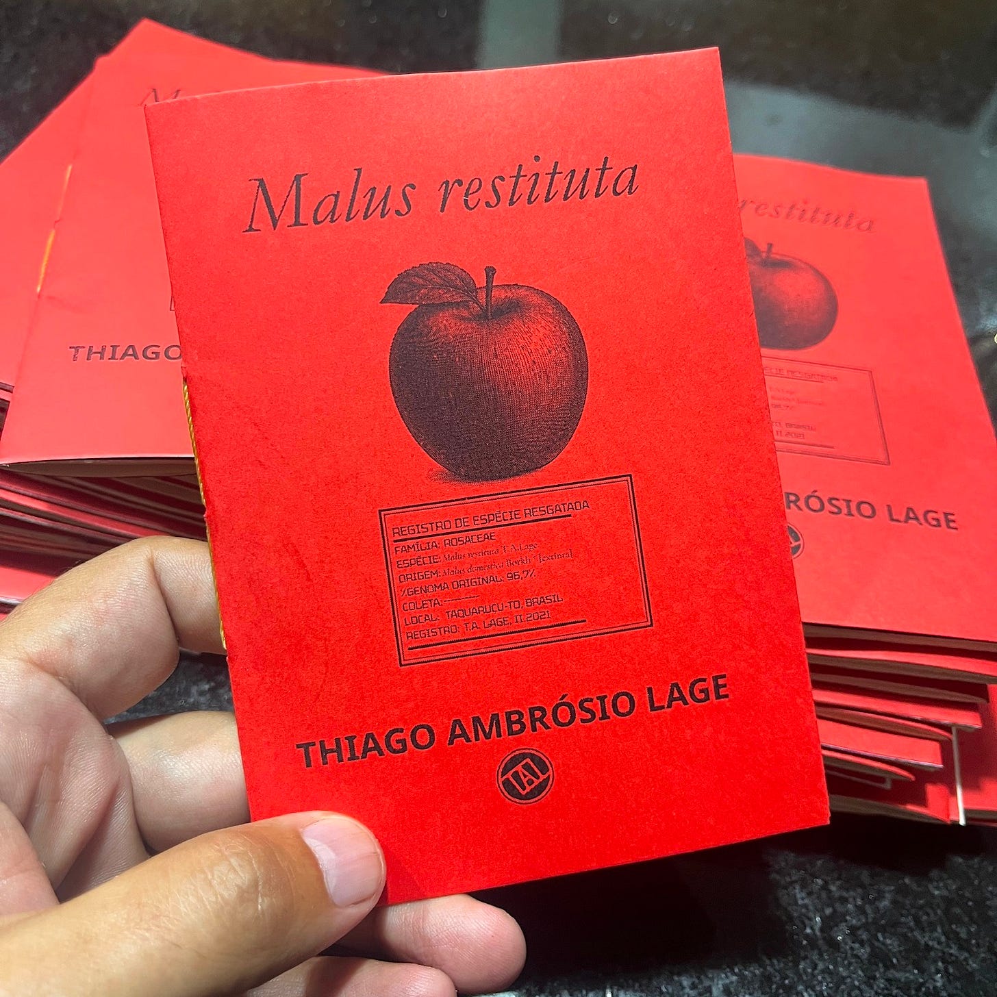 fotografia do zine malus restituta, encadernado A6 de capa vermelha
