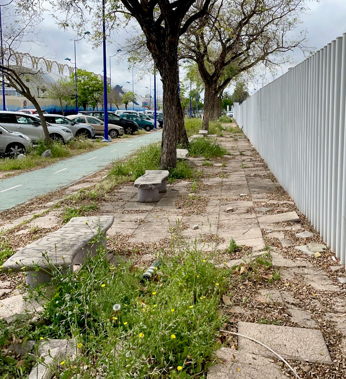 Photograph of decaying pavement on the Isla de La Cartuja, Seville