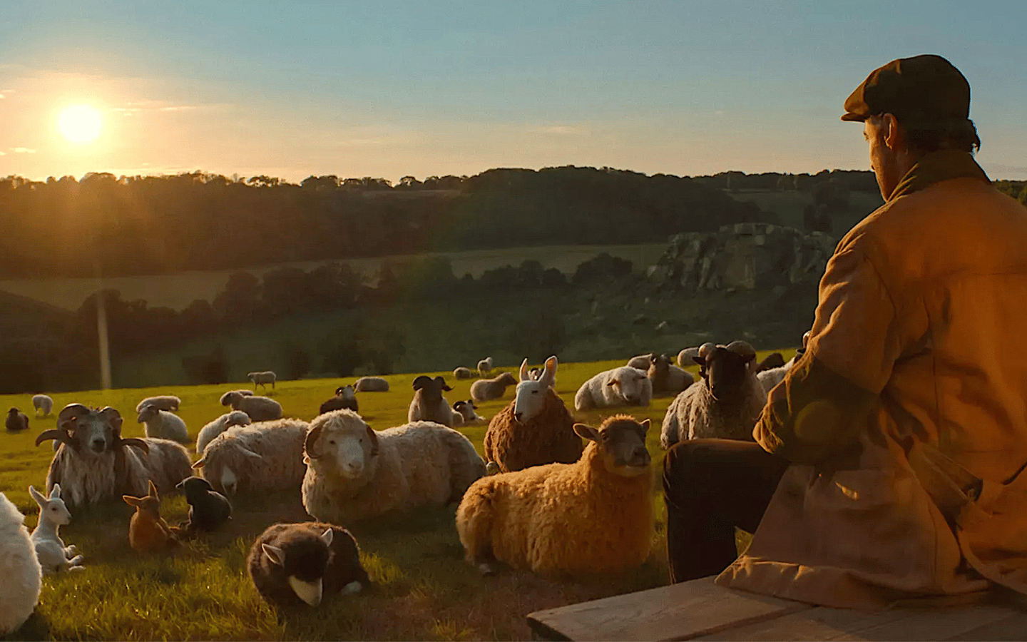 Receiving the Winter Lamb: 'The Sheep Detectives' is a Story of Welcome - Good Faith Media Receiving the Winter Lamb: 'The Sheep Detectives' is a Story of Welcome - Good Faith Media