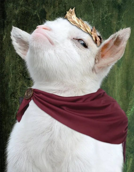 Tanngrisnir’s Newsletter